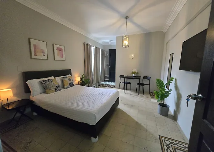 Singular Centro Historico 3*